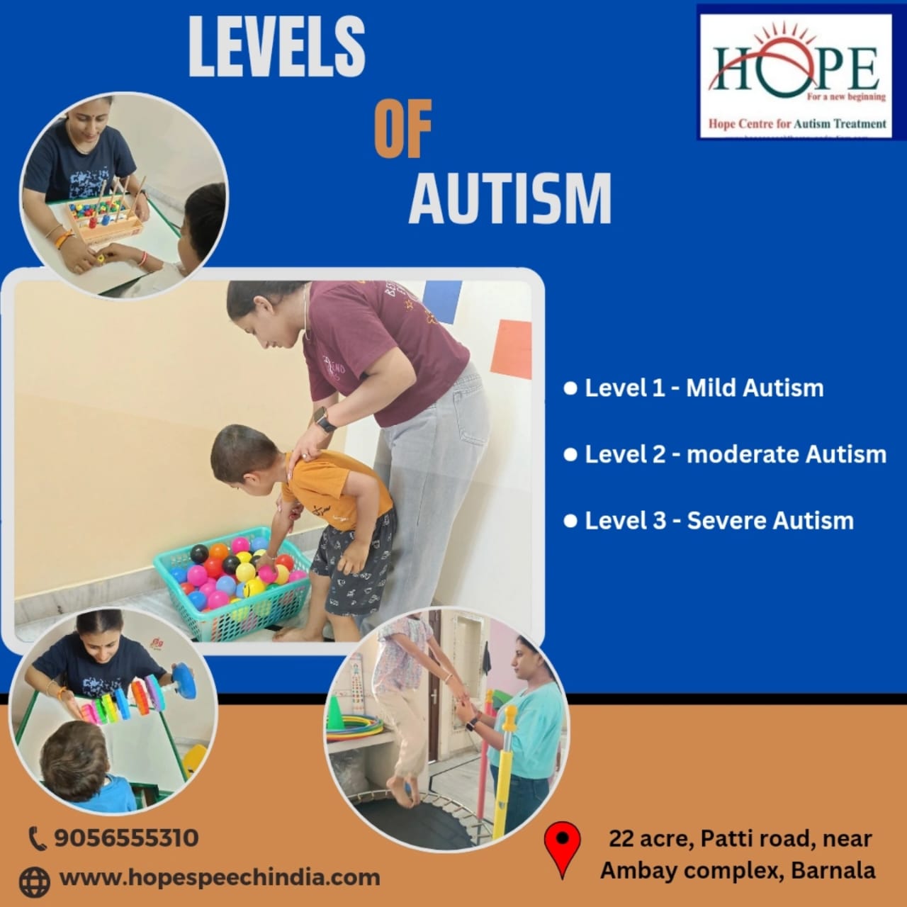Levels of autism